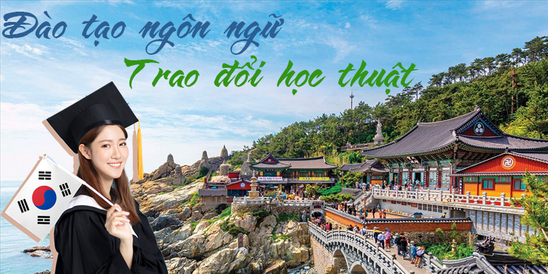 Đào tạo tiếng Hàn chuyên sâu